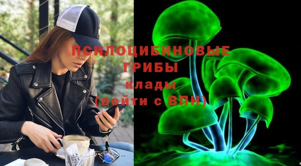 PSILOCYBIN Богородск